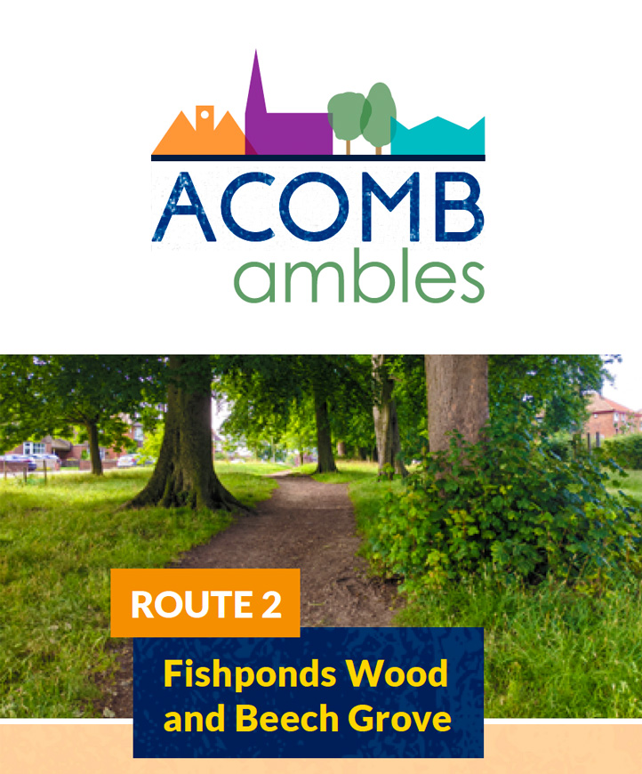 Walks in Acomb, York - Fishponds Wood and Beech Grove